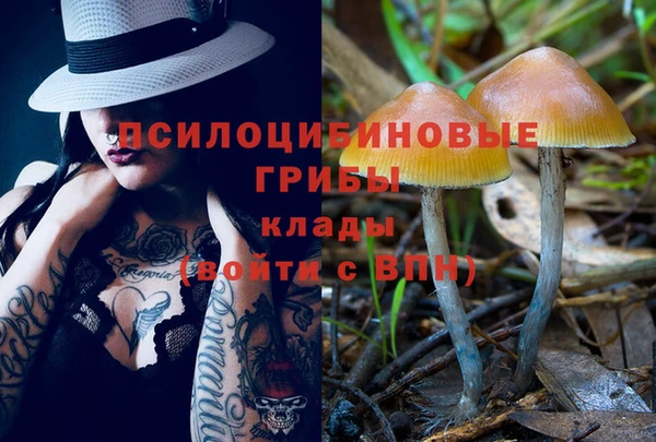герыч Вяземский
